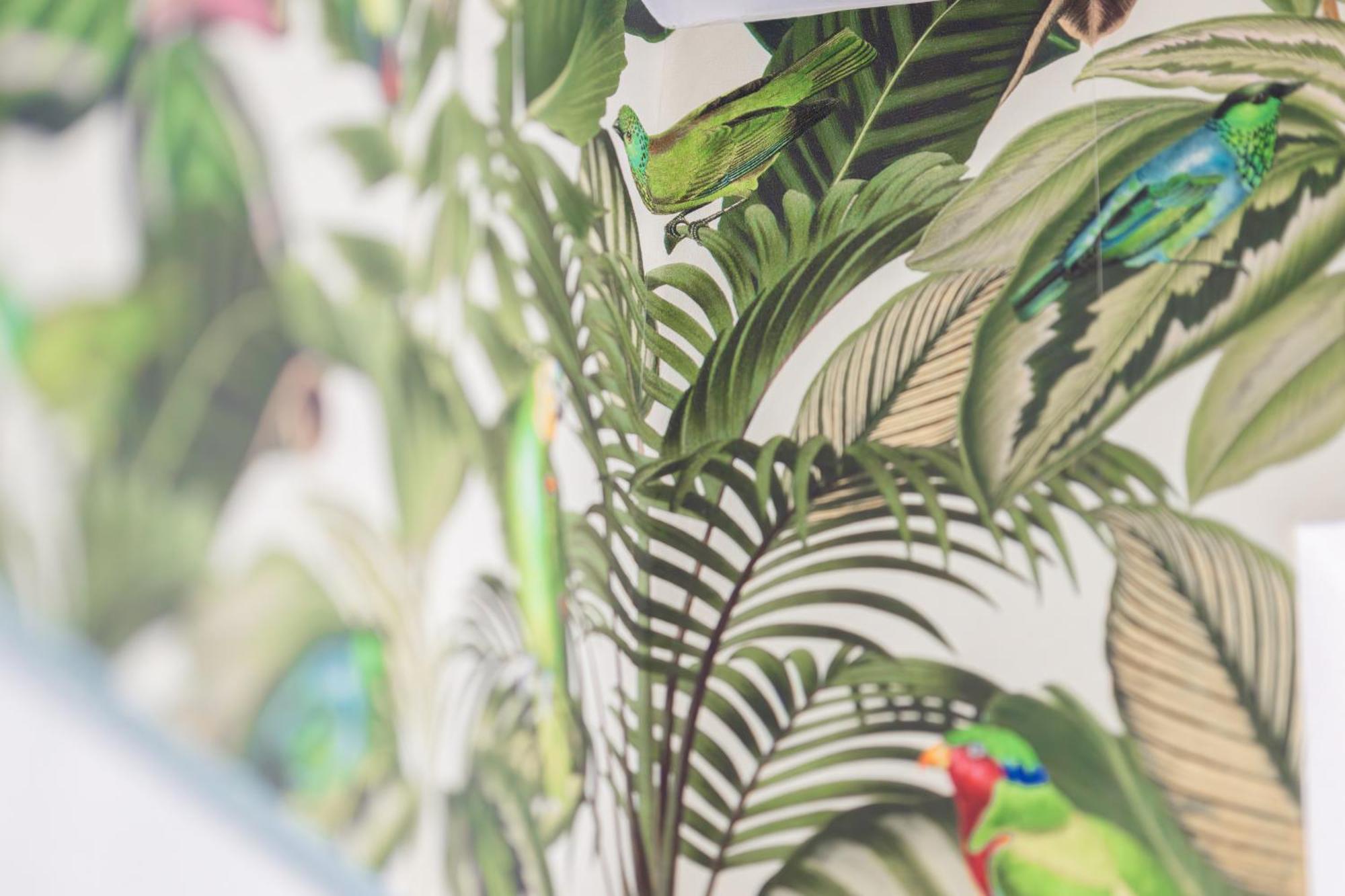 Stay Awesome - Urban Jungle Apartment Zentral, Wilhelmshoehe Kassel Esterno foto